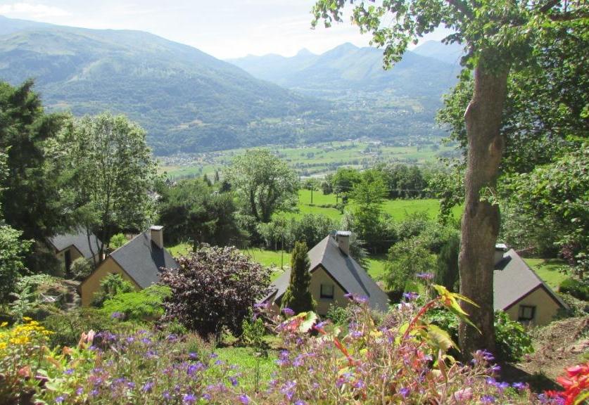 gite_stouet_pyrenees_location_fleurs