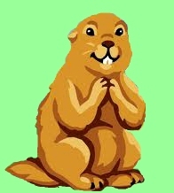 Marmotte des pyrenees gite vacances